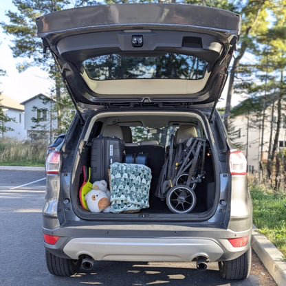 BabyCruiser Double Stroller